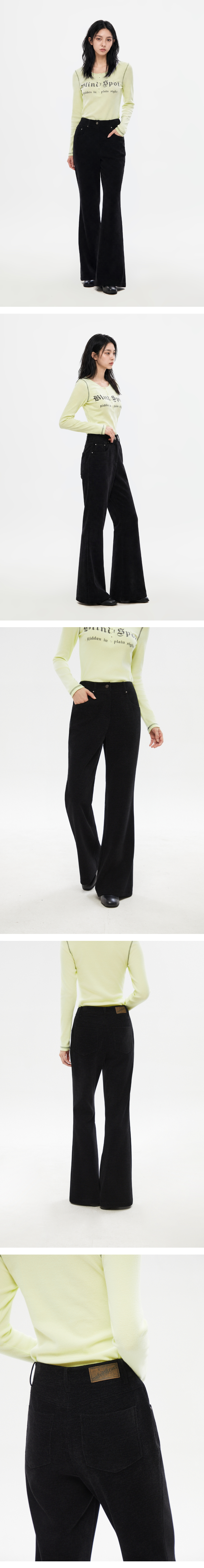 모델 착장 (model-wearing)