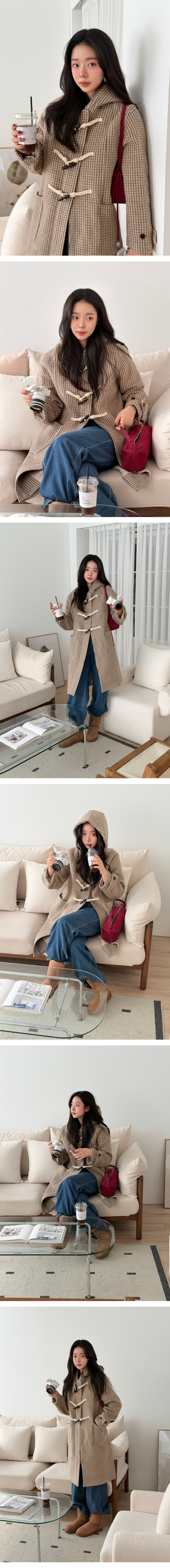 모델 착장 (model-wearing)