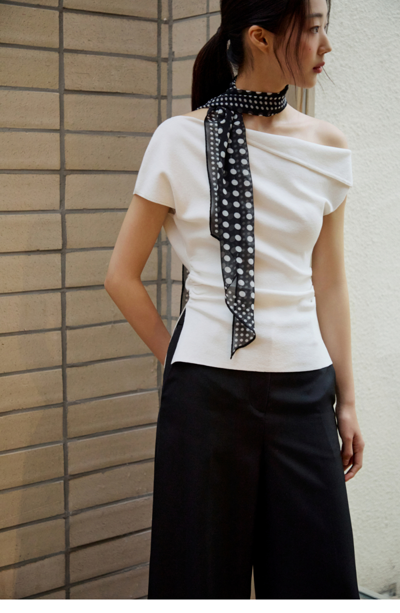 모델 착장 (model-wearing)