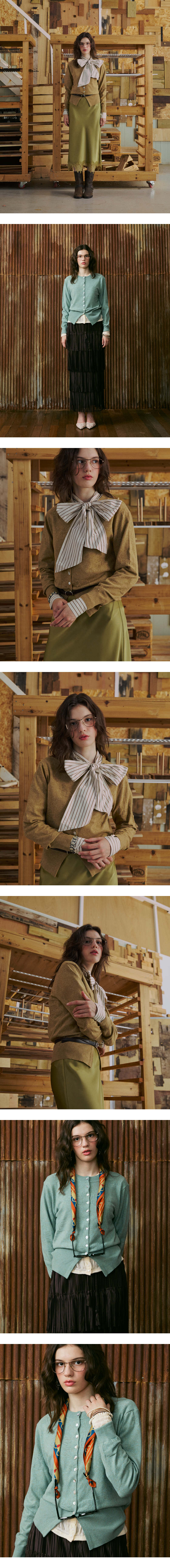 모델 착장 (model-wearing)