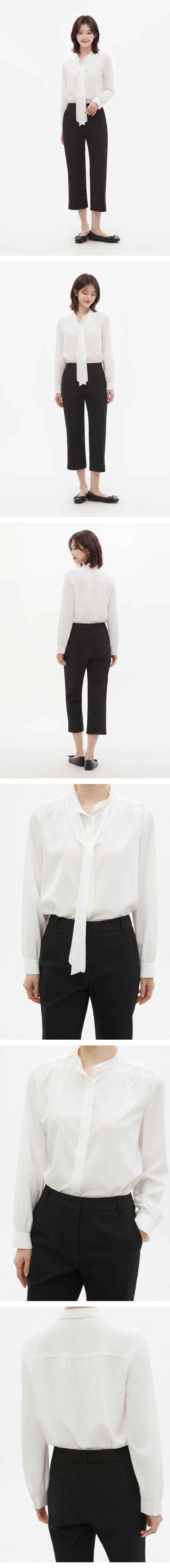 모델 착장 (model-wearing)