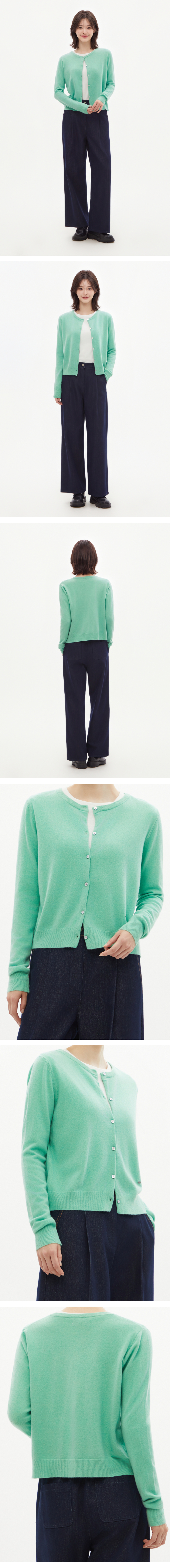 모델 착장 (model-wearing)
