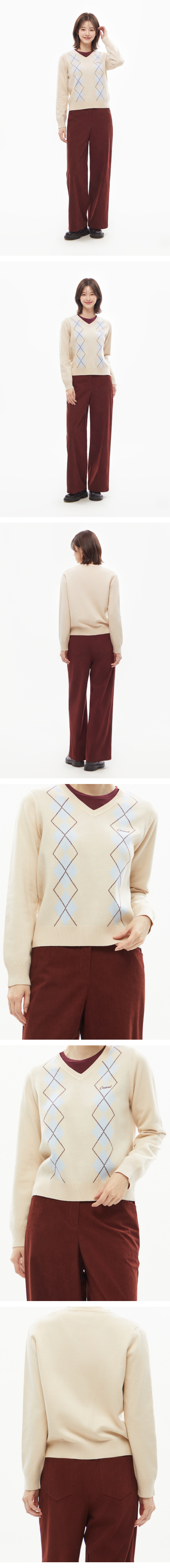 모델 착장 (model-wearing)