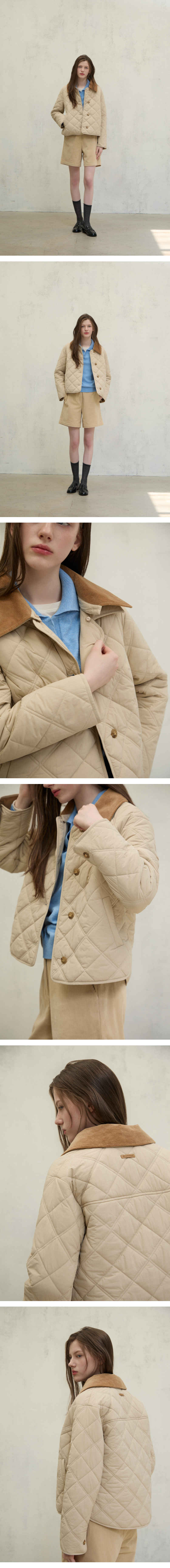 모델 착장 (model-wearing)