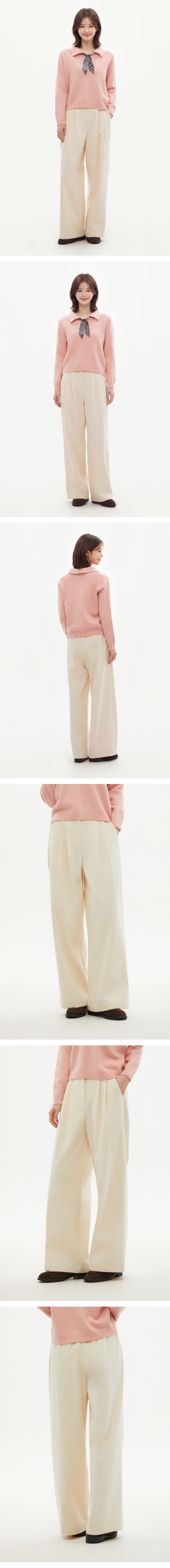 모델 착장 (model-wearing)